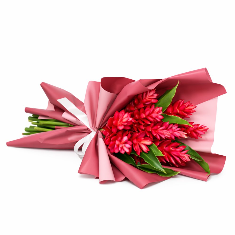 Buquê de 12 Alpinias Purpuratas Vermelhas