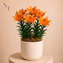Refinado Lírio Laranja Plantado - Vaso Off White