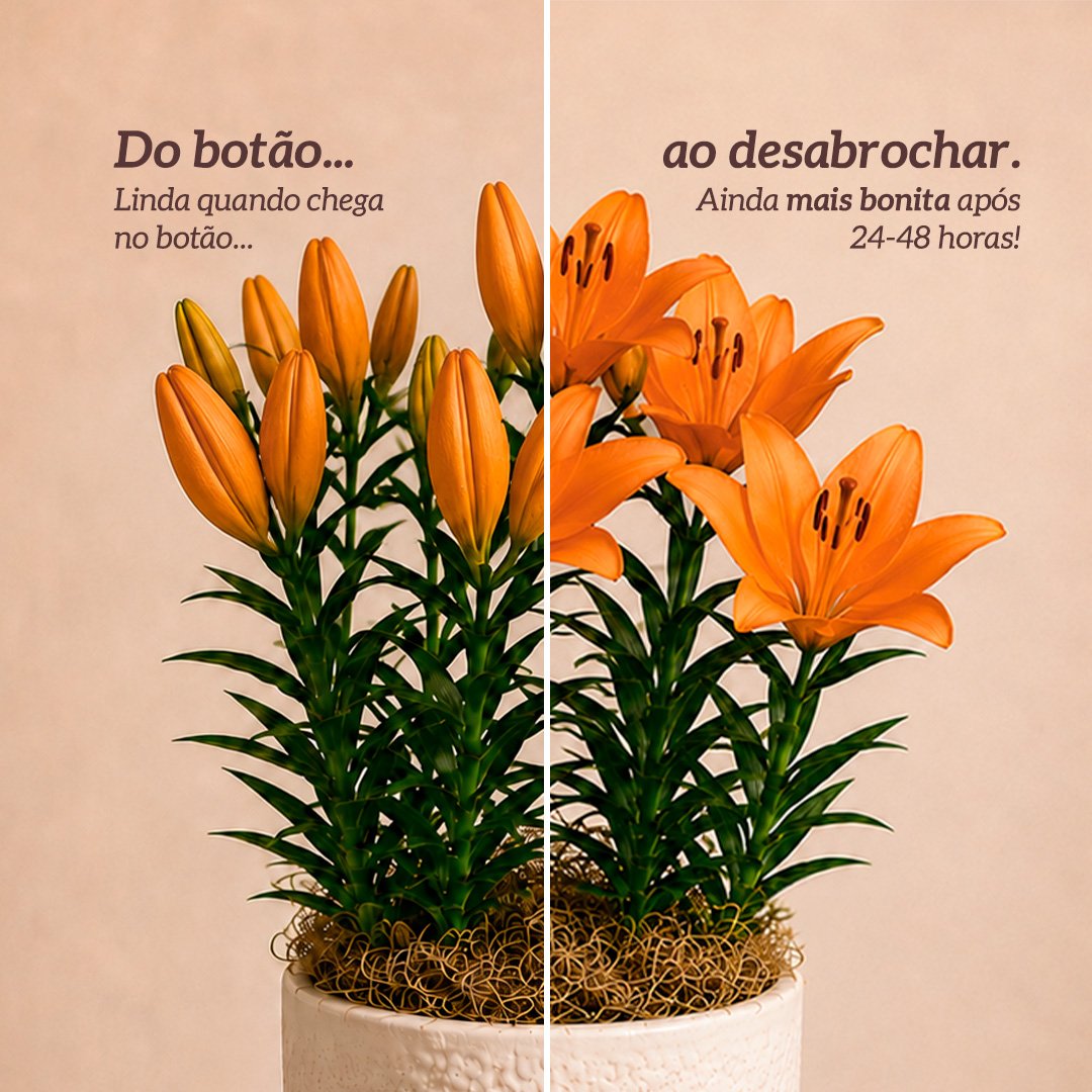 Refinado Lírio Laranja Plantado - Vaso Off White