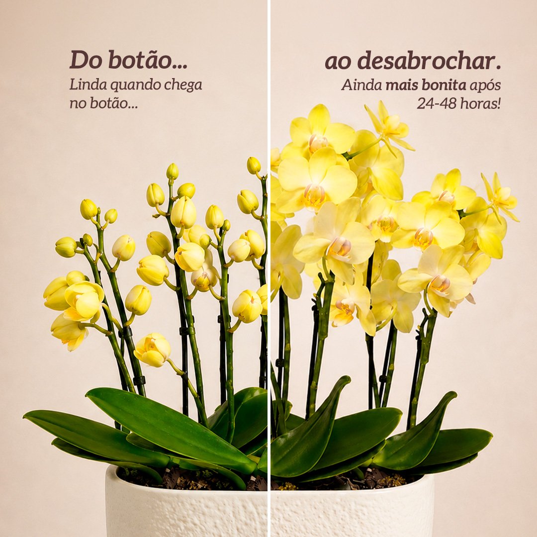 Formidavel Mini Rara Amarela na Cerâmica