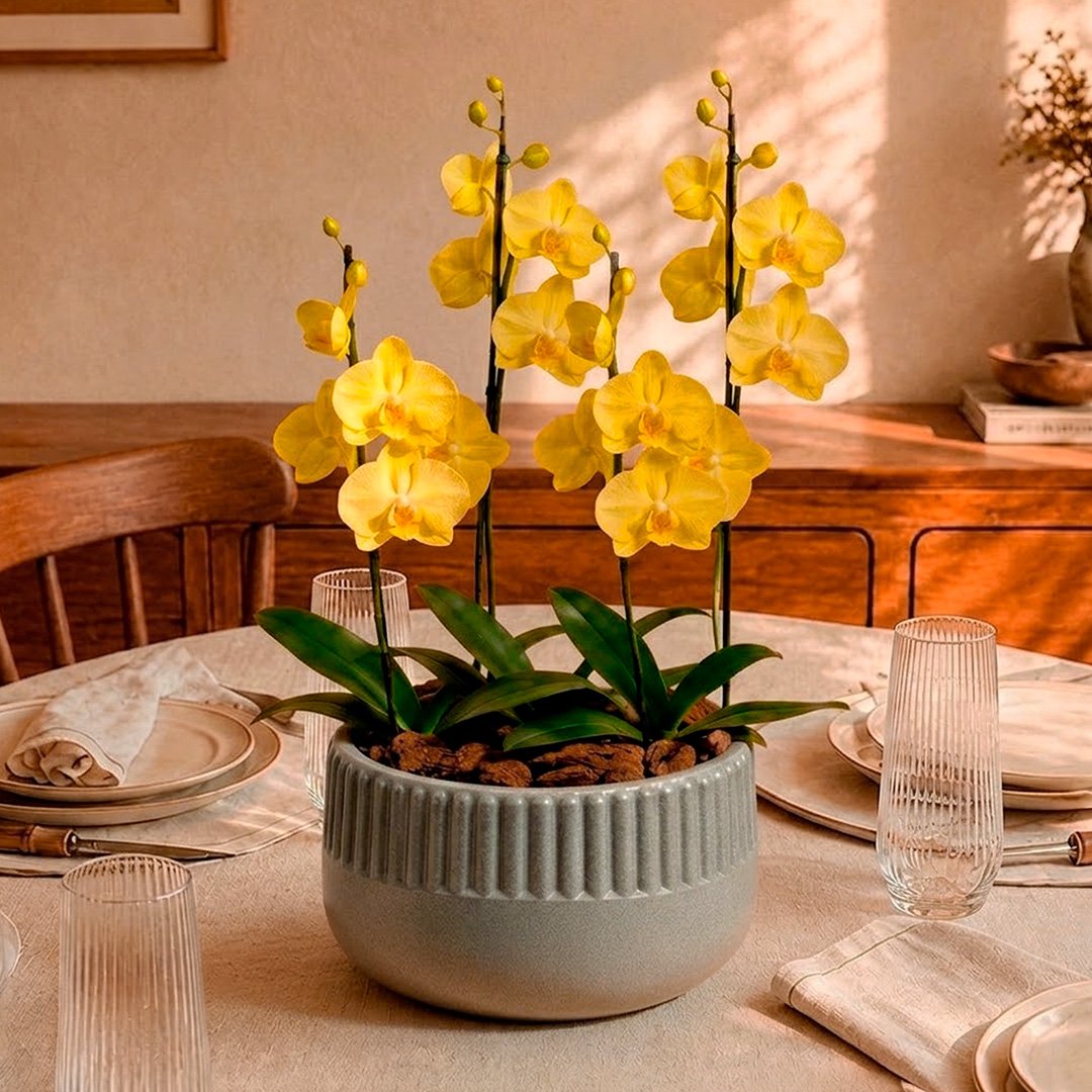 Orquídeas Amarela para Presente - Vaso Lisboa Cinza