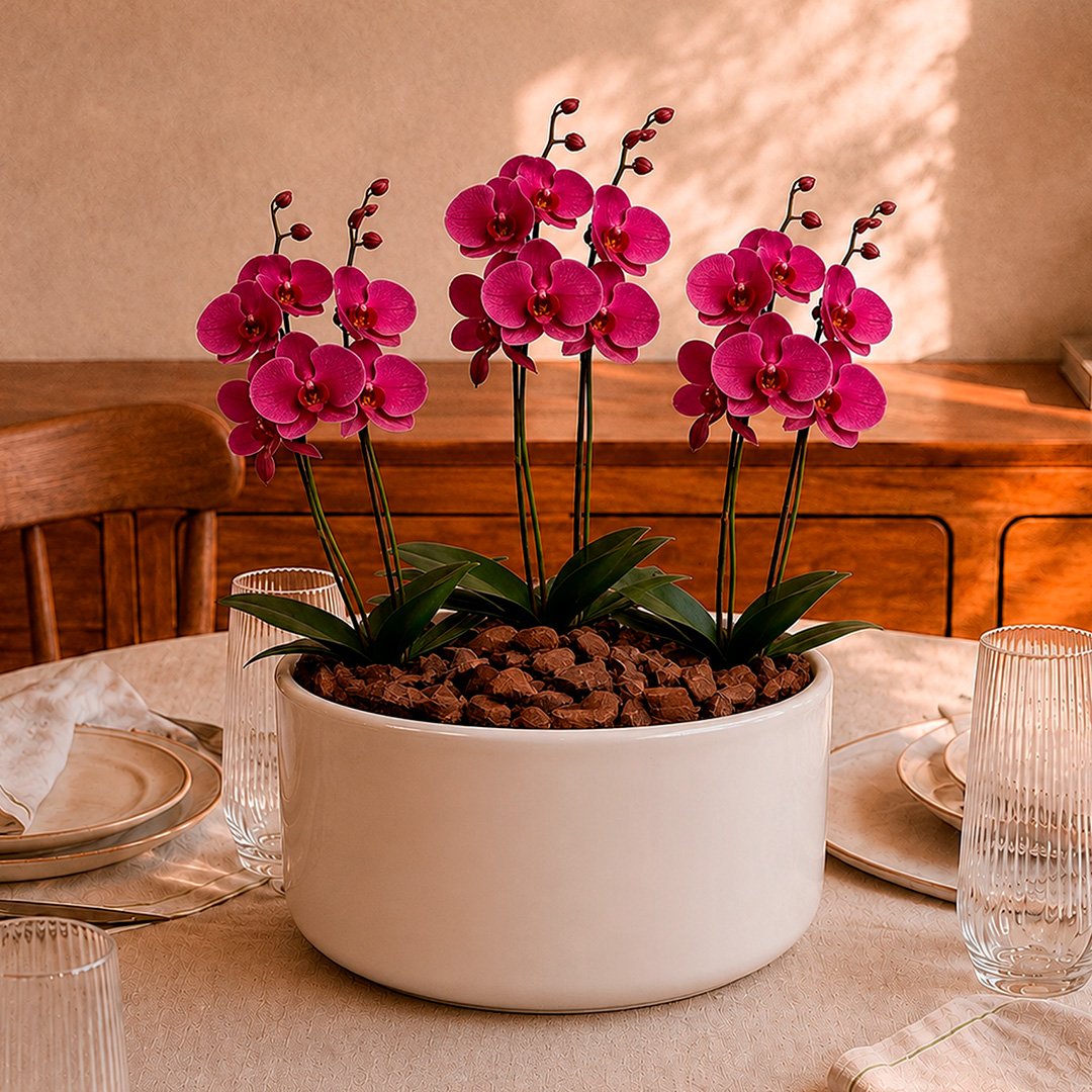 Orquídea Pink para Presente - Vaso Cuba Off White