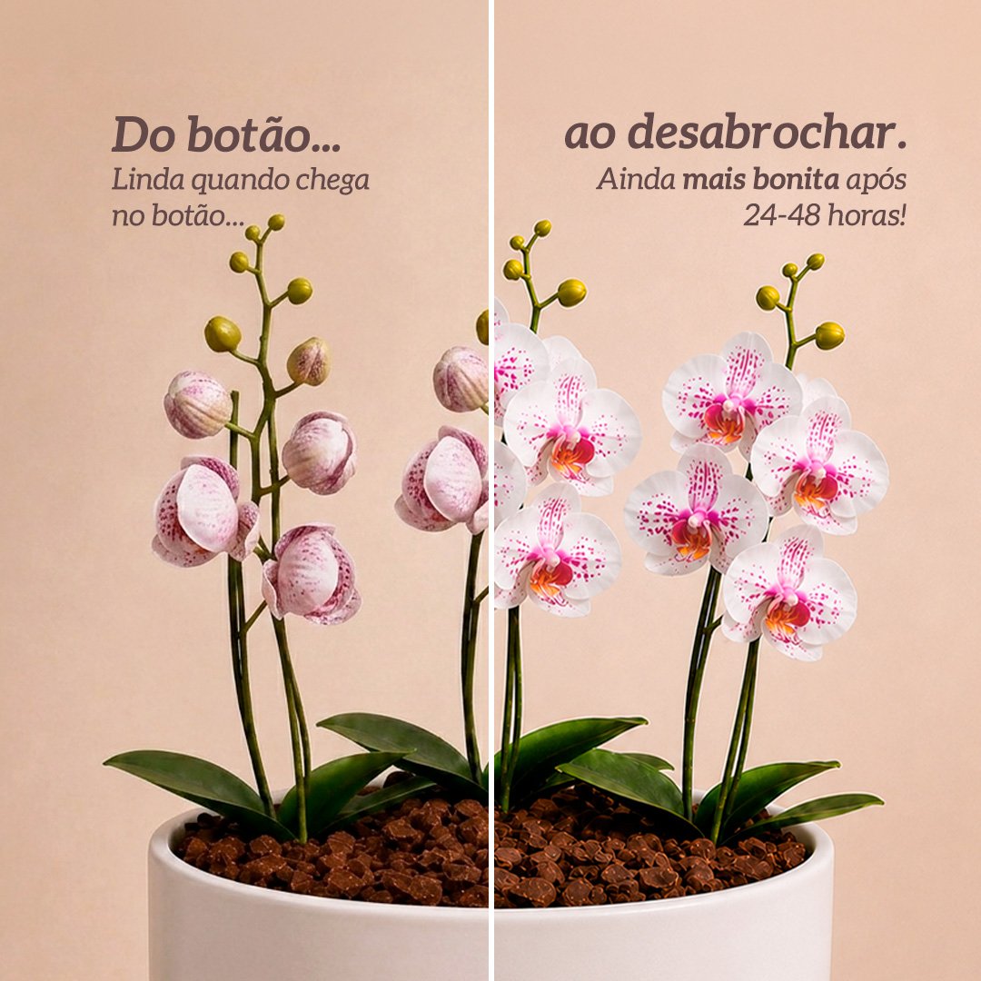 Orquídea Mesclada para Presente - Vaso Cuba Off White