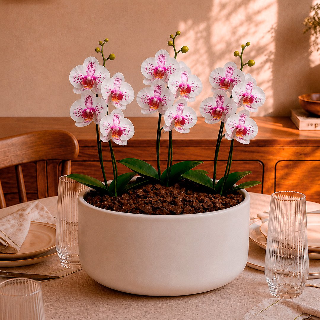 Orquídea Mesclada para Presente - Vaso Cuba Off White