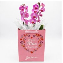 Orquídea Pink Presente Minha Mãe é Especial