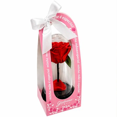 A Bela Rosa Encantada Vermelha - Mãe Laço de Amor