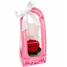 Mini Box de Rosa Encantada Vermelha - Mãe Laço de Amor