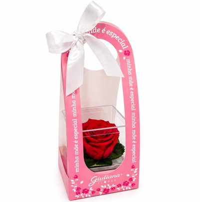 Mini Box de Rosa Encantada Vermelha - Mãe Laço de Amor