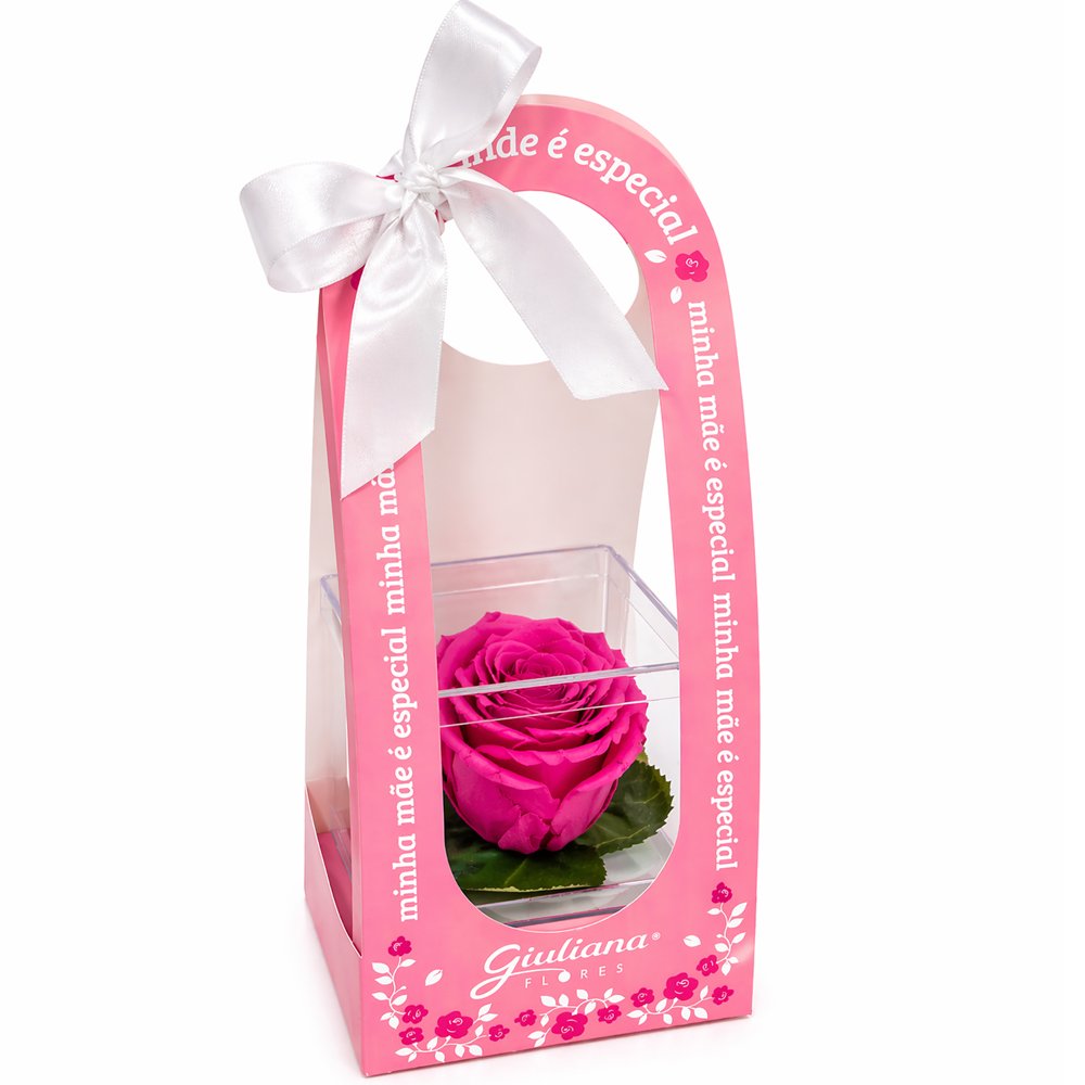 Mini Box de Rosa Encantada Pink - Mãe Laço de Amor