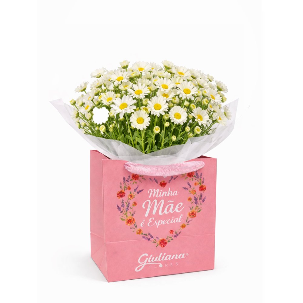 Margaridinhas Plantadas Brancas - Minha Mãe é Especial