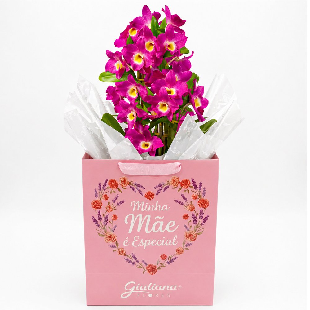 Orquídea Dendrobium Lilás Plantada - Minha Mãe é Especial