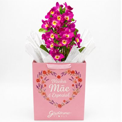 Orquídea Dendrobium Lilás Plantada - Minha Mãe é Especial