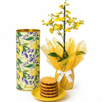 Mini Orquídea Chuva de Ouro e Limonê Lata Biscoitê