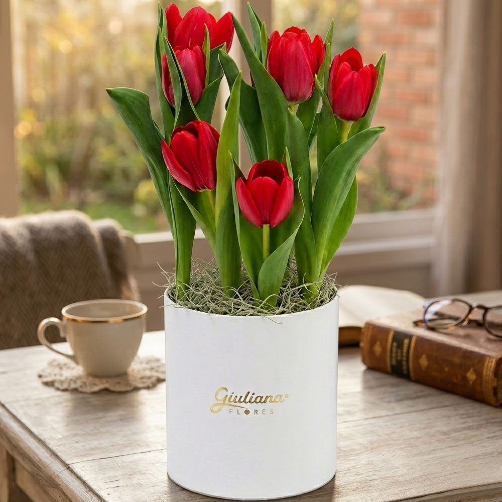 Tulipas Plantadas Vermelhas no Box Giu