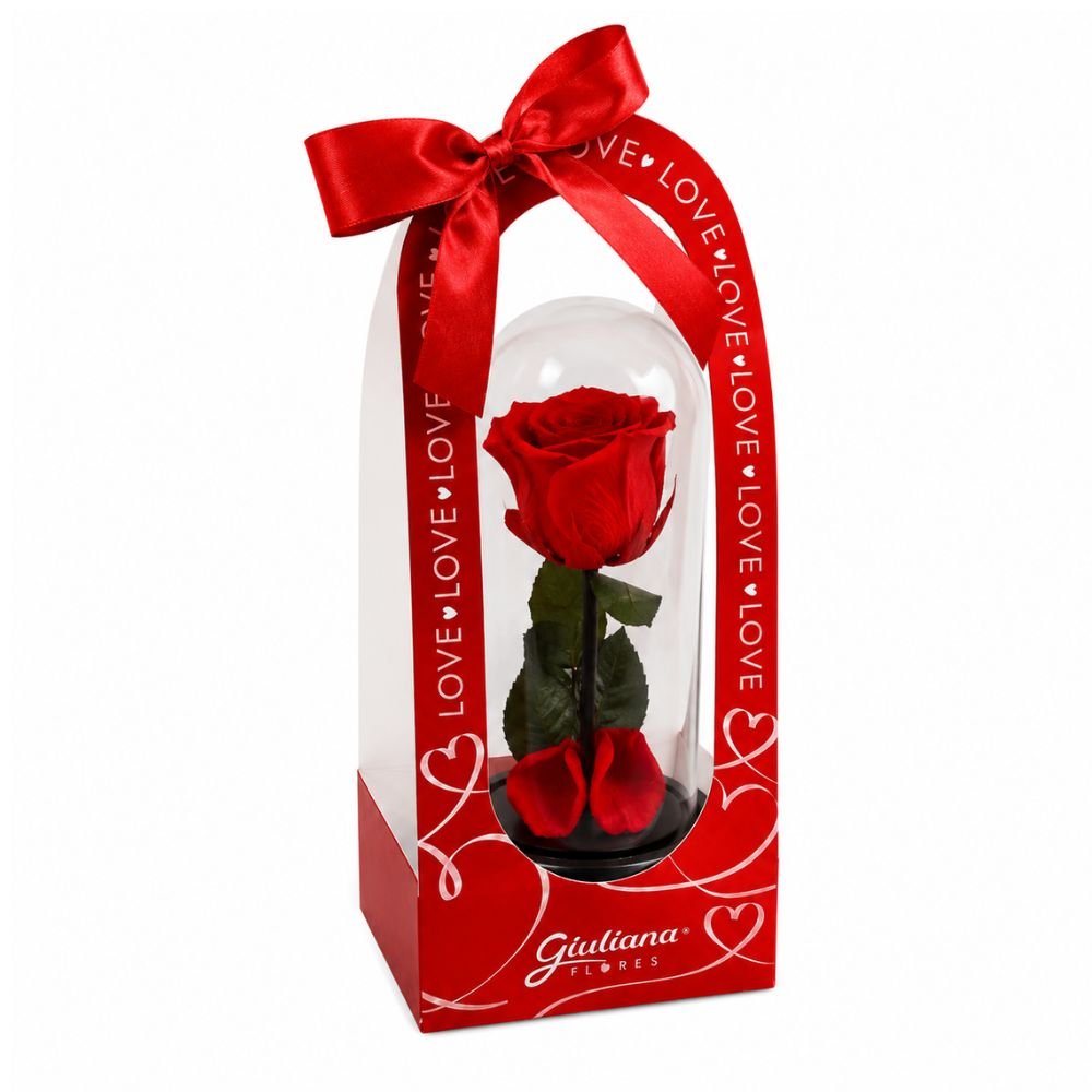 A Bela Rosa Encantada Vermelha - My Love