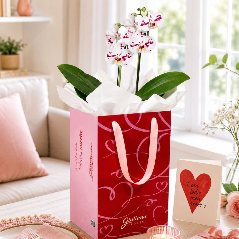 Orquídea Phalaenopsis Branca Mesclada para Presente - Bag Love