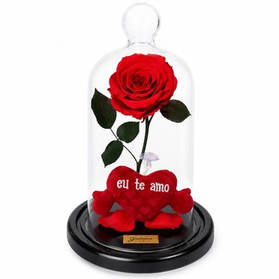 A Rosa Encantada Vermelha e Mini Pelúcia Coração