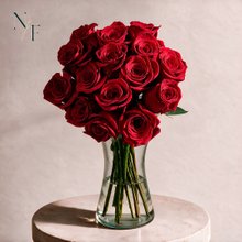 Arranjo de 15 Rosas Colombianas Vermelhas