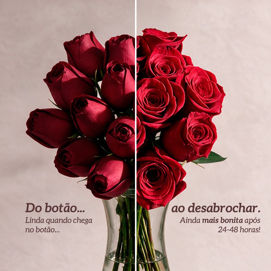 Arranjo de 15 Rosas Colombianas Vermelhas
