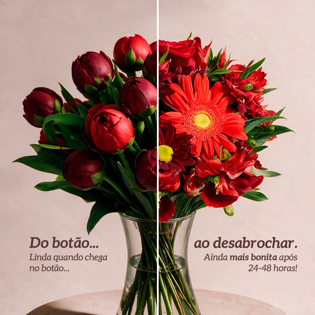 Arranjo Premium da Estação Vermelho