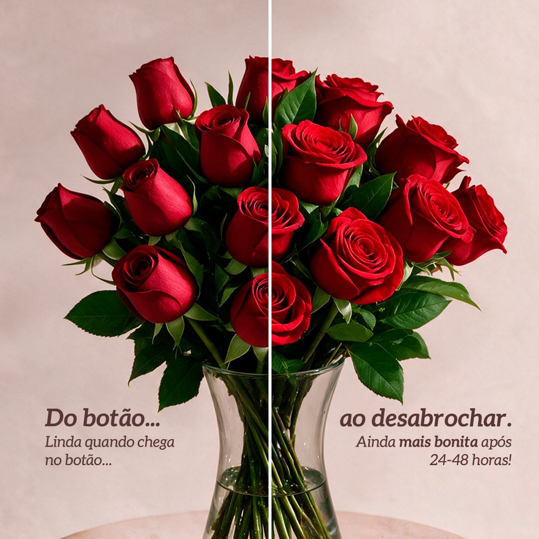 Arranjo Serenidade com 12 Rosas Vermelhas