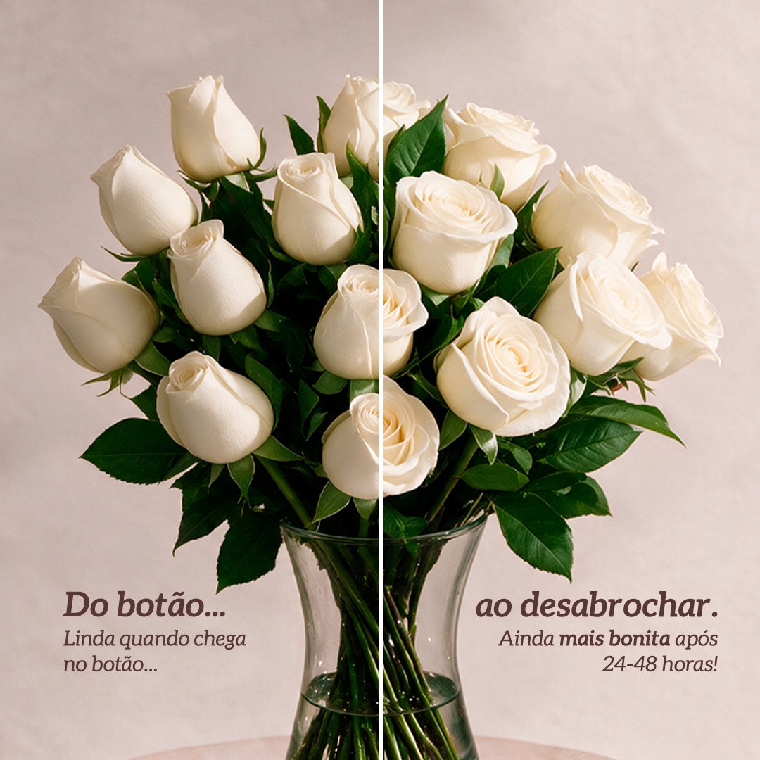 Arranjo Serenidade com 12 Rosas Brancas