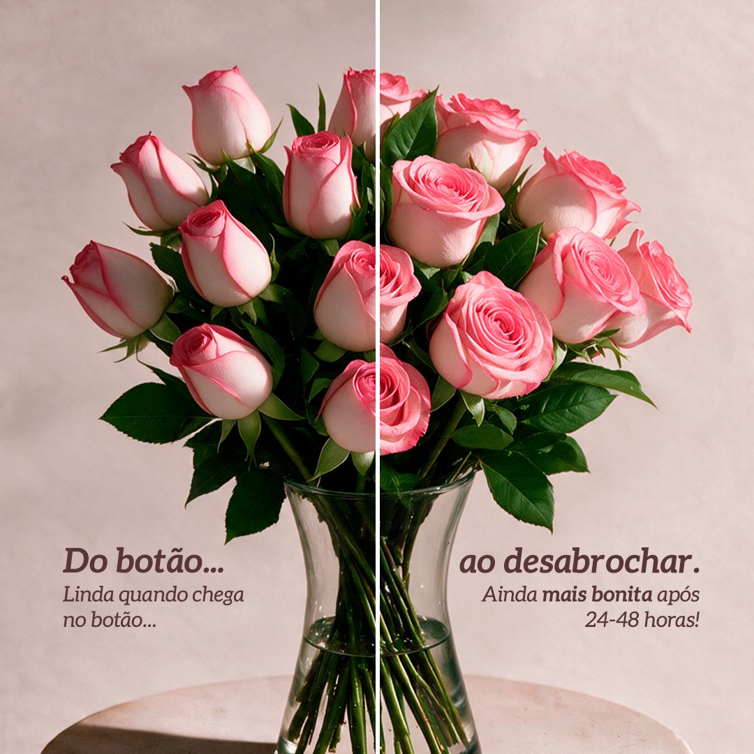 Arranjo Serenidade com 12 Rosas Cor de Rosa