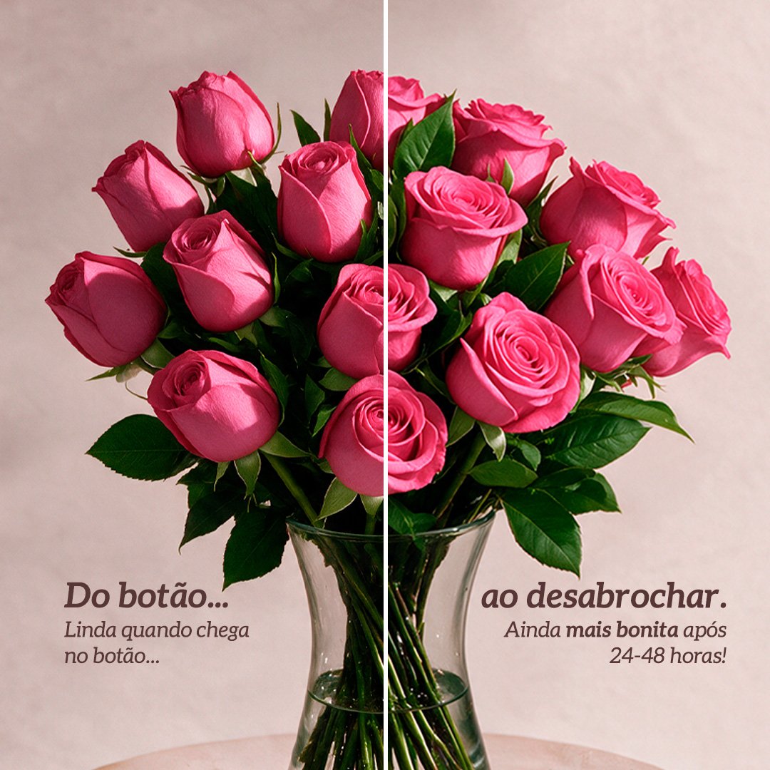 Arranjo Serenidade com 12 Rosas Pink