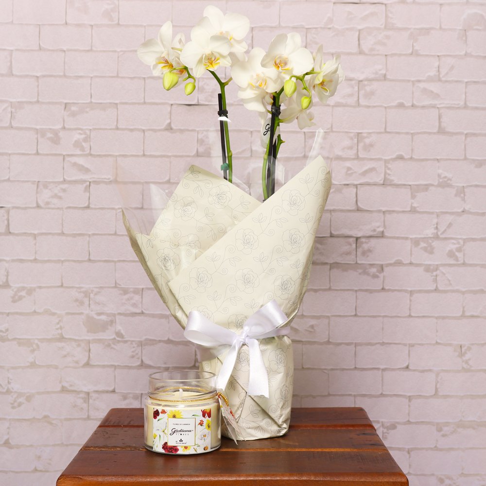 Vela Encontro Floral Giuliana Flores e Mini Orquídea Branca