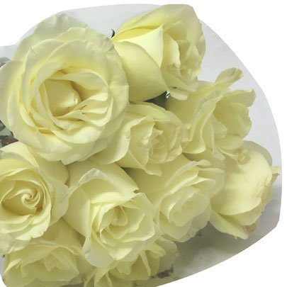 Buquê de Rosas Brancas com 10 Unidades