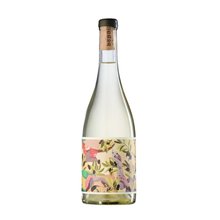 Vinho Sauvignon Blanc