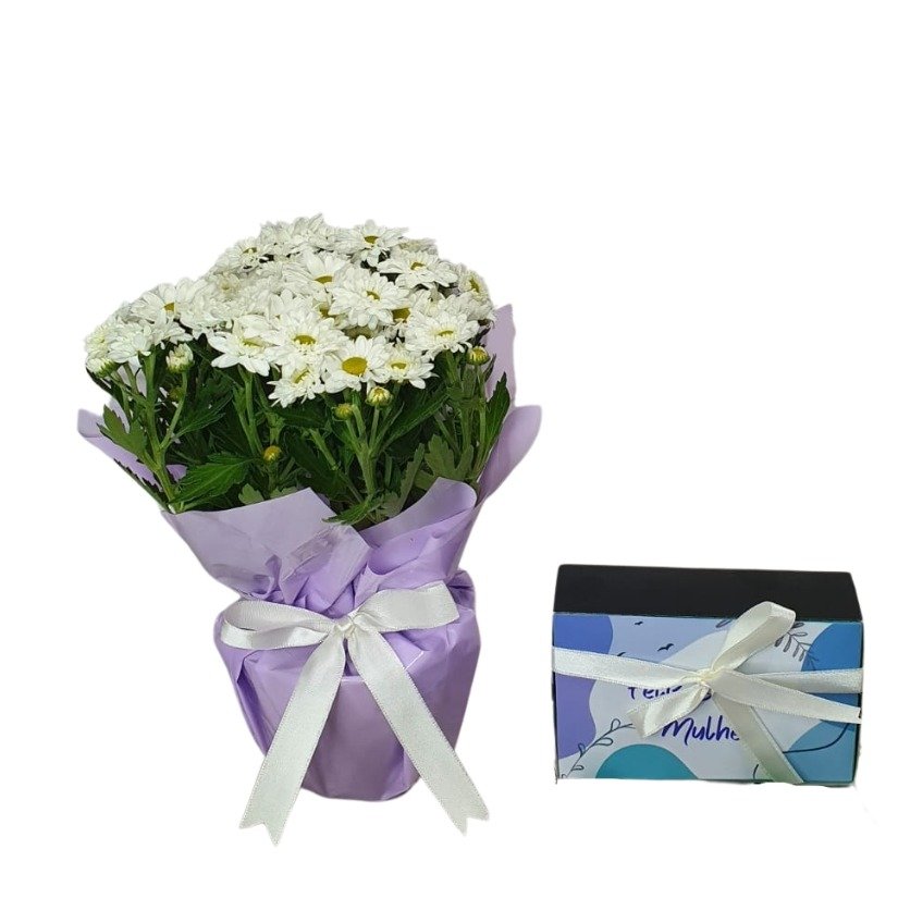 Kit Florir