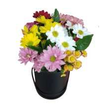 Box de Flor do Campo