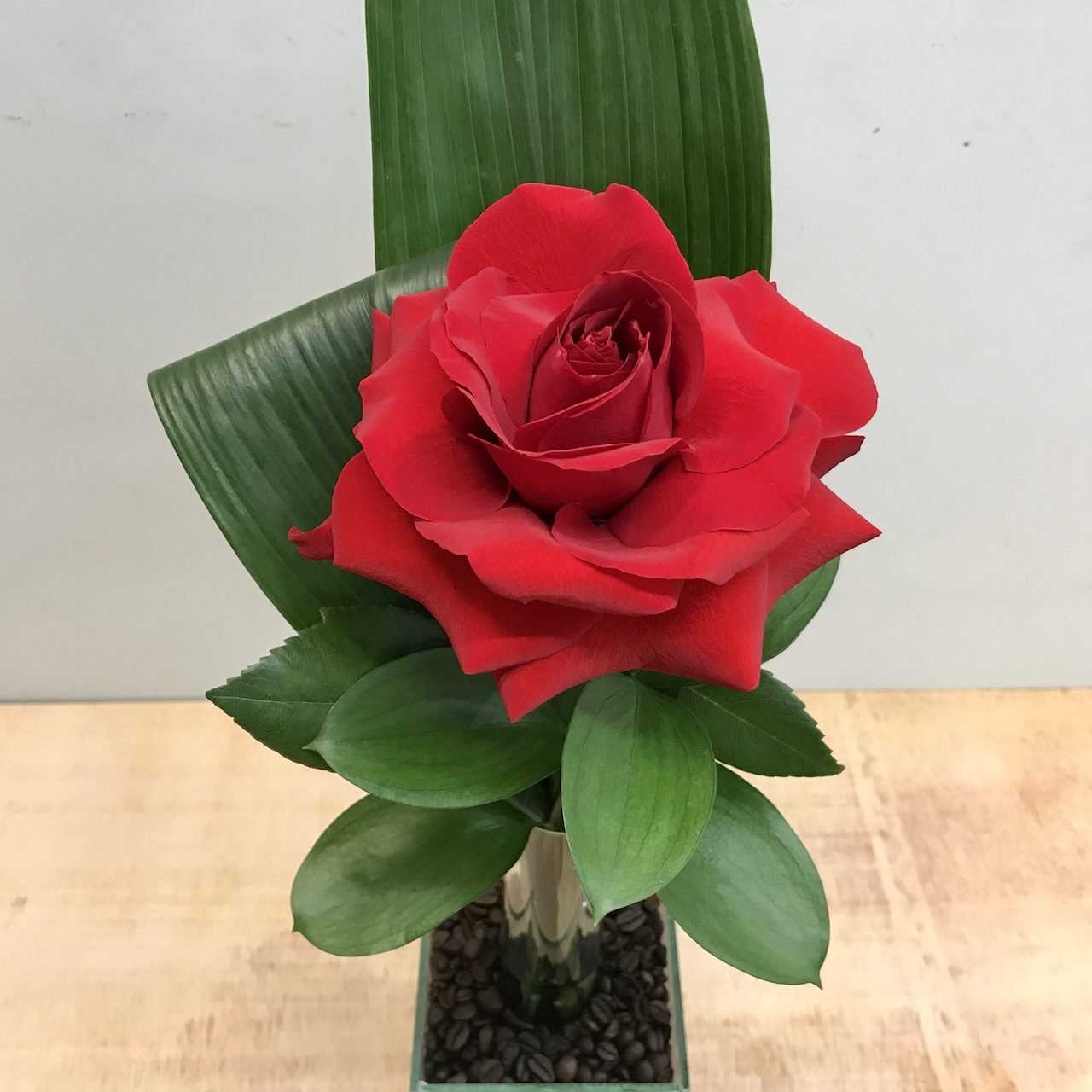 Arranjo Uno - Uma Rosa Importada 