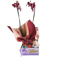 Caixa Mdf Com Orquidea