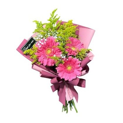 Ramalhete com 3 Gérberas