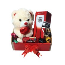 Cesta Urso e Caneca Tricolor 