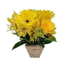 Arranjo Sutilezas do Resplandecer