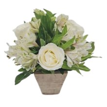 Arranjo Sutilezas Nevadas