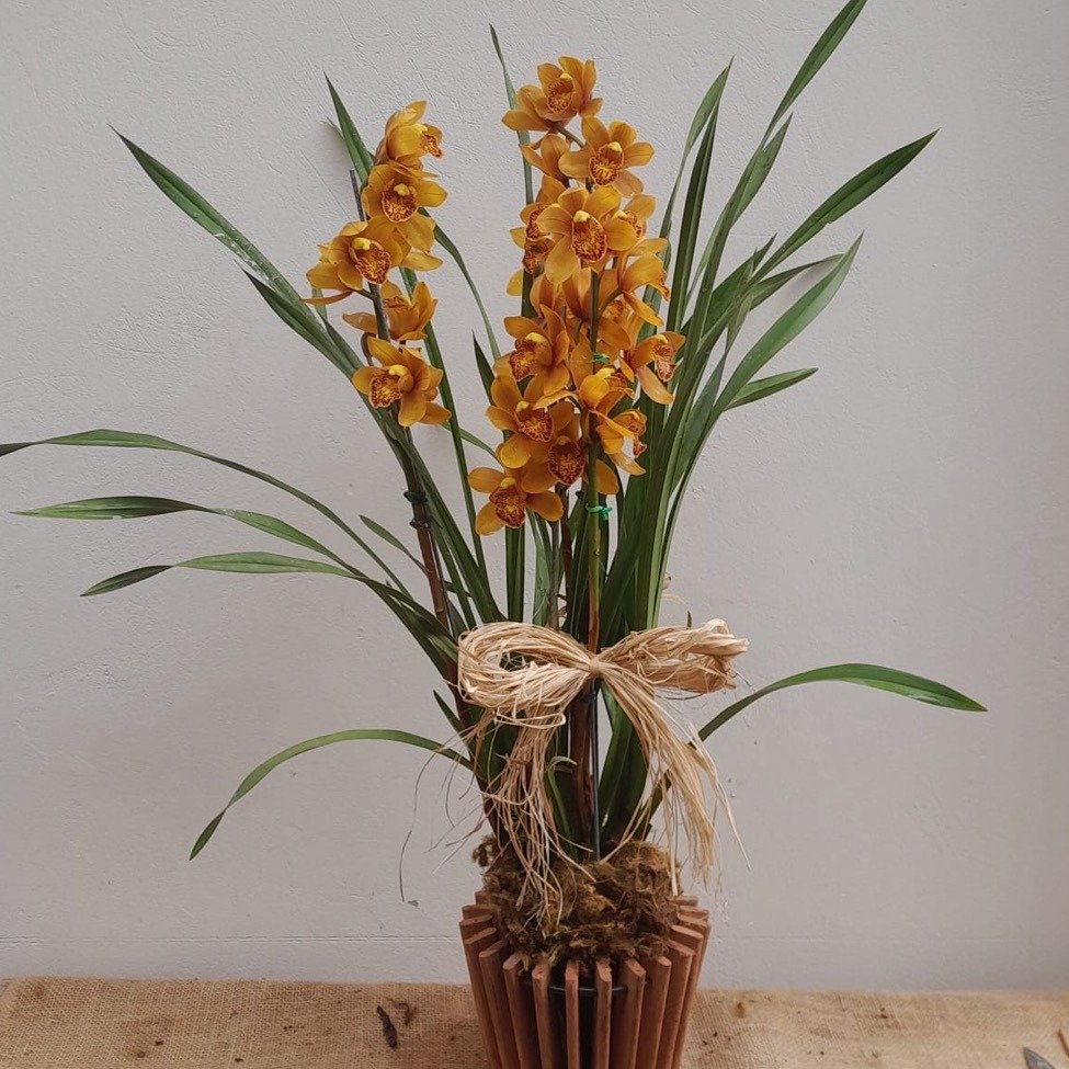 Orquídea Cymbidium Para Presente No Cachepot Madeira