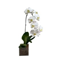 Vaso de vidro Orquidea Branca