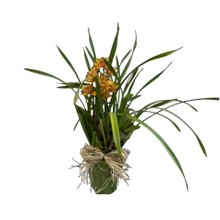 Arranjo Orquidea Cymbidium do Amor Laranja