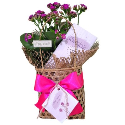 Cesta Kalanchoe Pink com Chocolate