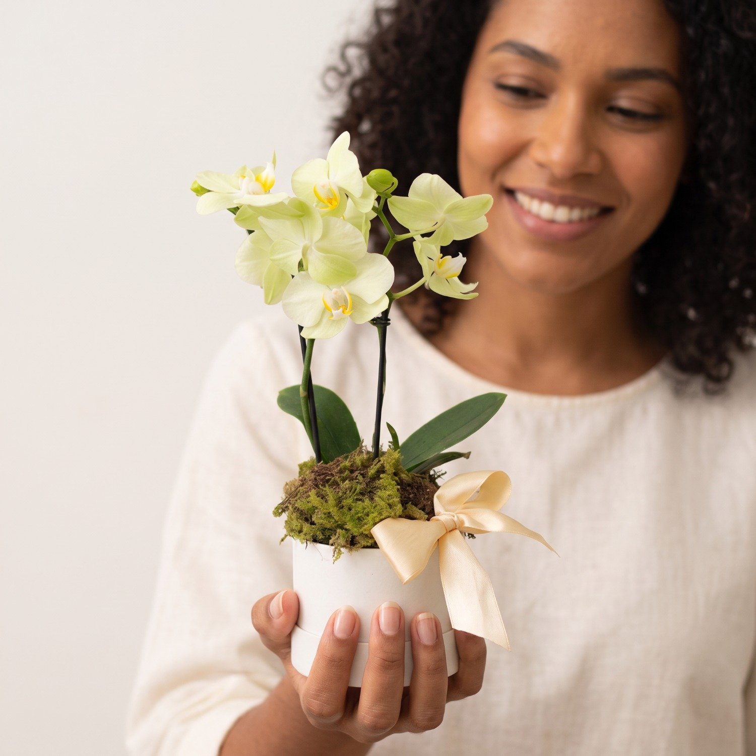 Box de Orquídea