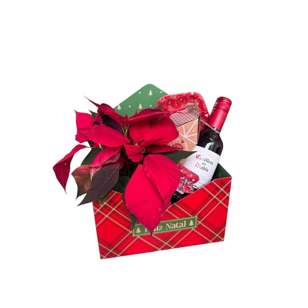 Caixa Envelope Pura Festa Natal