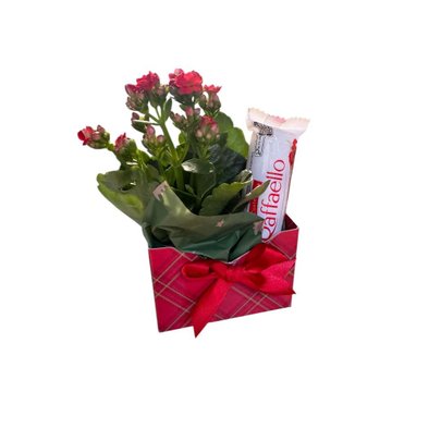 Mini Envelope Doce Abraço