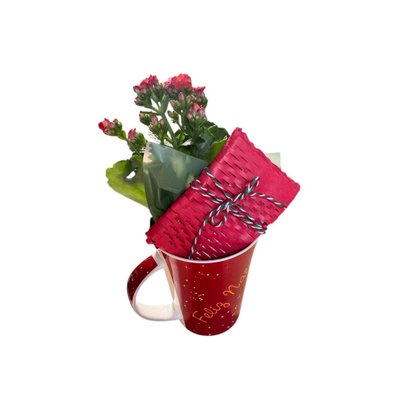 Caneca Mimo em Dobro