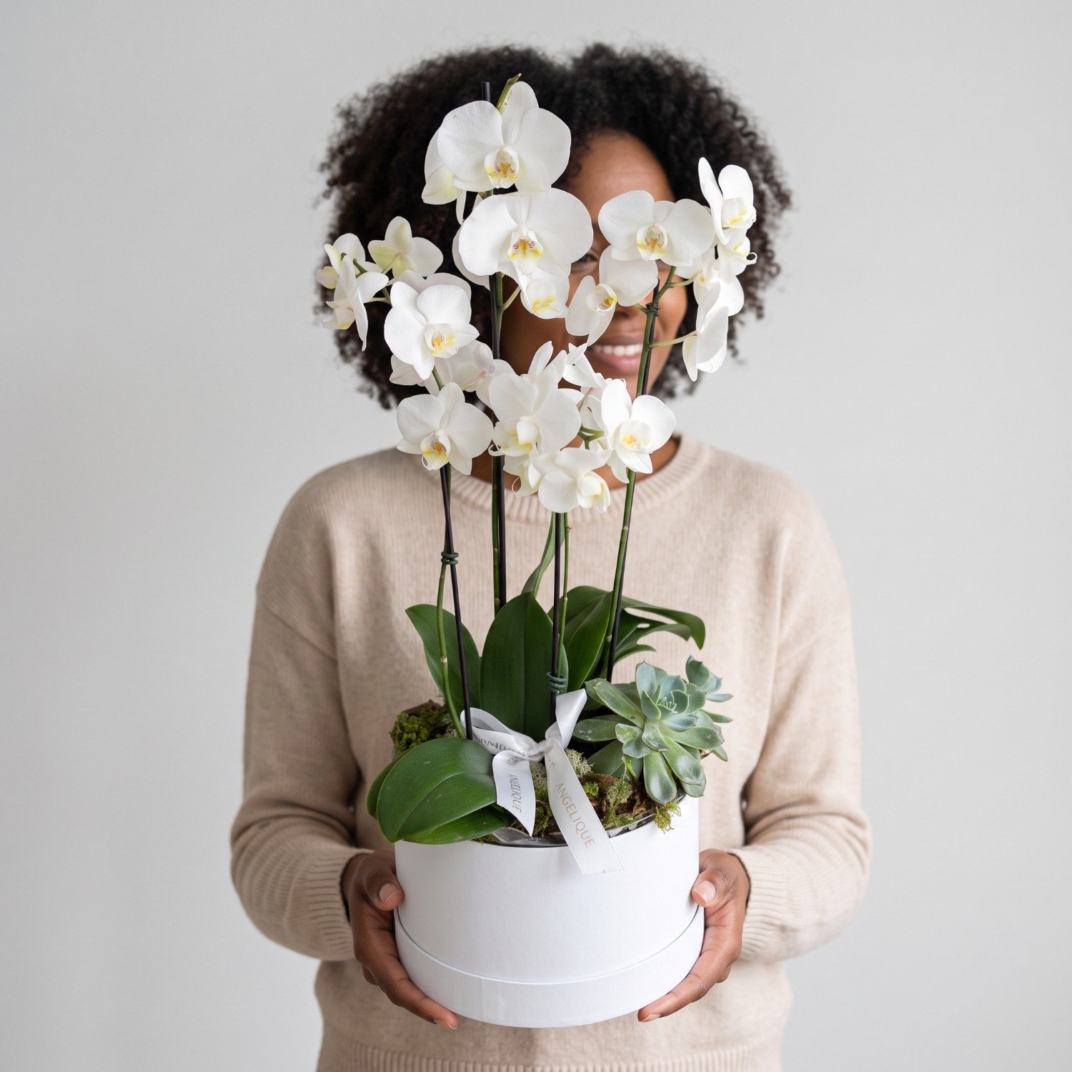 Box de Orquideas