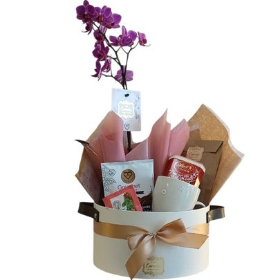 Cesta Orquídea