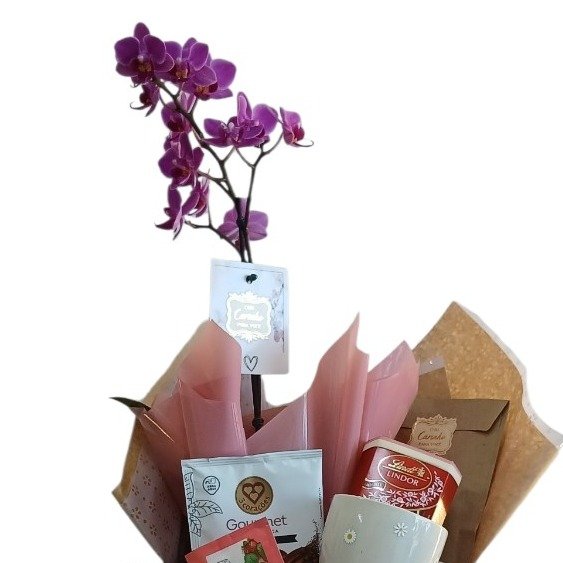 Cesta Orquídea